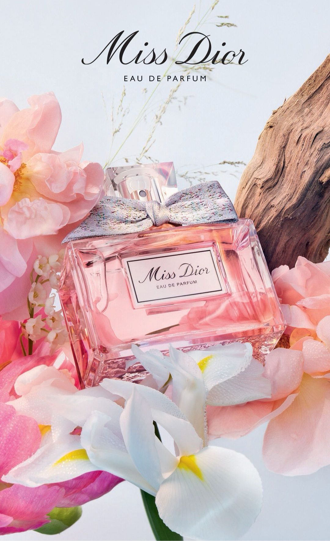 Dior Miss Dior 100ml EDP Mujer