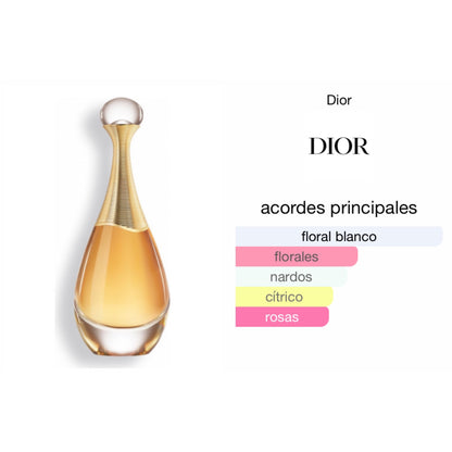 Dior J’adore 100ml EDP Mujer